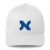 FLEXFIT EMBROIDERED BLUE N