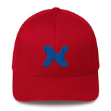 FLEXFIT EMBROIDERED BLUE N