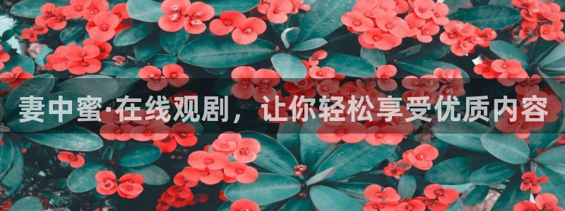 五一动漫破解版：妻中蜜·在线观剧，让你轻松享受优质内容