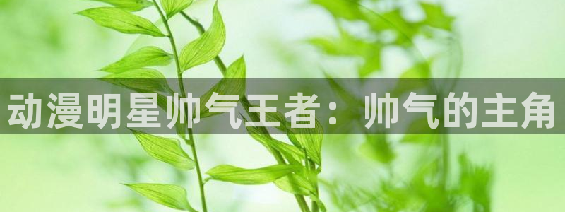 五一动漫网站版免费观看：动漫明星帅气王者：帅气的主角