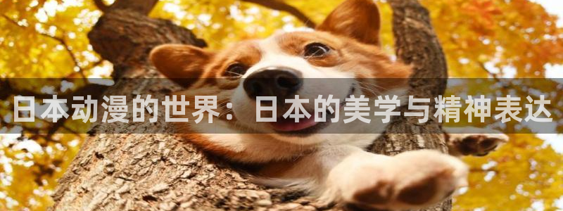 五一动漫在线看：日本动漫的世界：日本的美学与精神表达